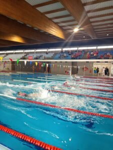 Participación de la Natación de Zamora en Ávila