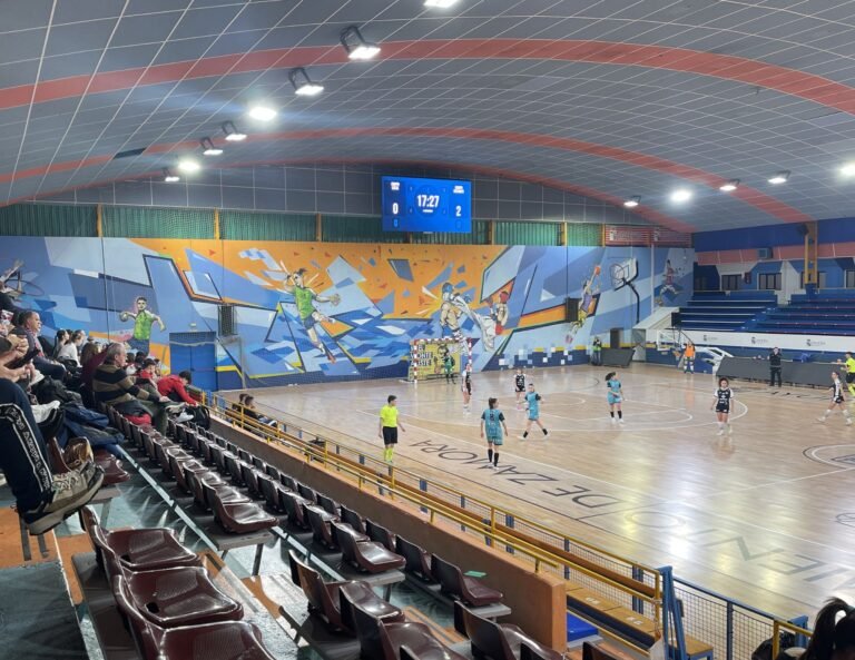 Fútbol Sala de la provincia