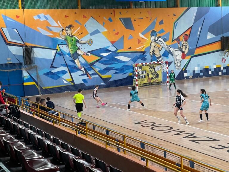 Equipos de Fútbol Sala de Zamora