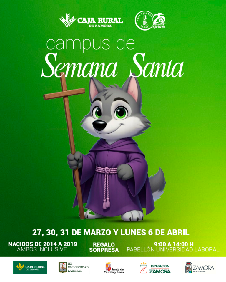 En búsqueda de la confirmación del Balonmano Zamora