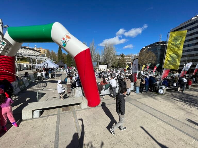Pequeños Gigantes: fiesta del ajedrez zamorano