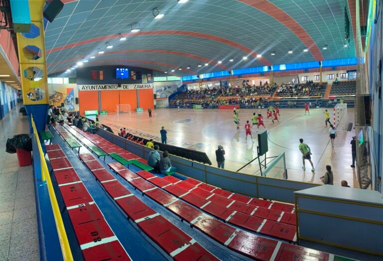 Pretemporada del Balonmano Zamora