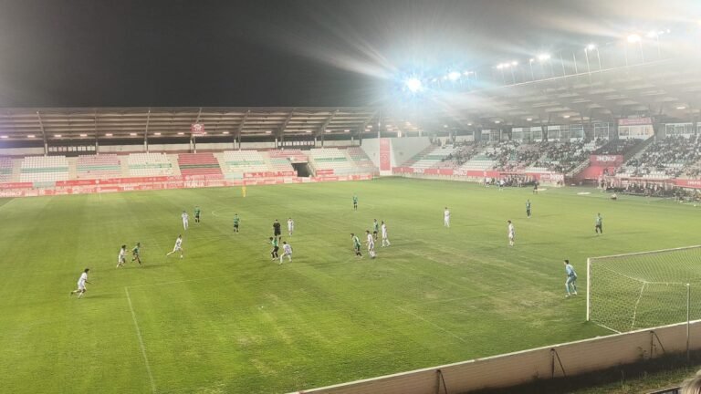 Eclipse, partido y avispas